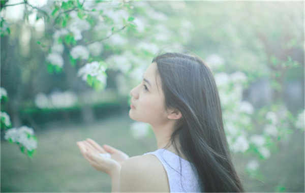 峨眉山验血查男女几周可以验(验血查男女结果图)
